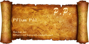 Pflum Pál névjegykártya